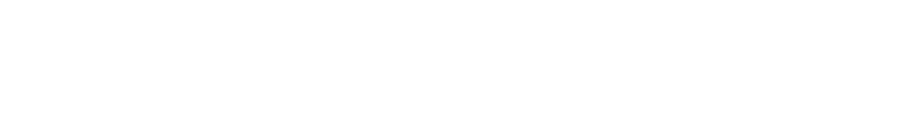 Dutch Mike logo